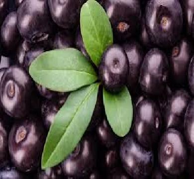 حرمان الامريكان من التوت البرازيلي  بعد تطبيق الرسوم الجمركية 50  %